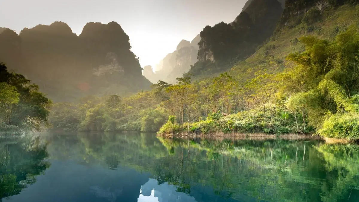 自动化高端
